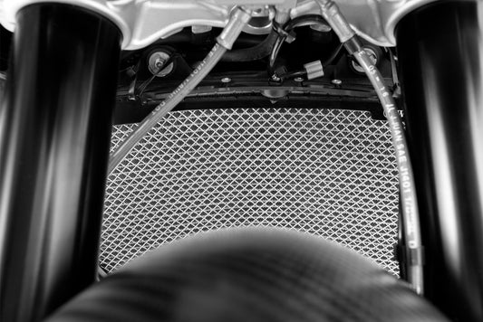 Rejilla de Protector de Radiador de BMW S 1000 R/RR/XR