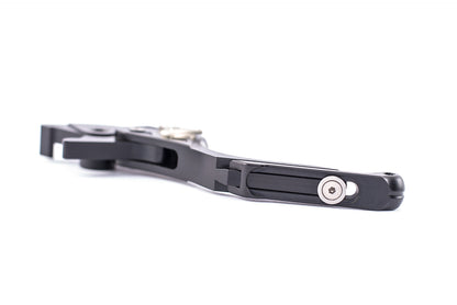 Maneta de Freno con Ajuste Pro para BMW R 1250 GS/GSA