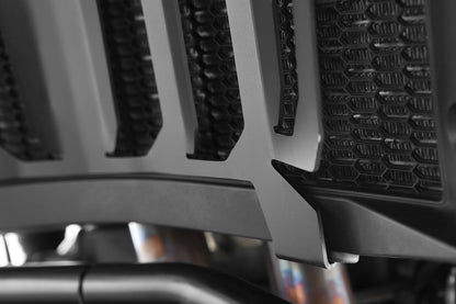 Protector de Radiador de BMW F 750/850/800 GS