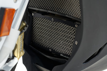 Protector de Radiador de BMW S 1000 R/RR/XR